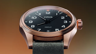 Oris ProPilot Bronze 41.00 mm - 01 733 7805 3164-07 6 20 22BRLC thumbnail
