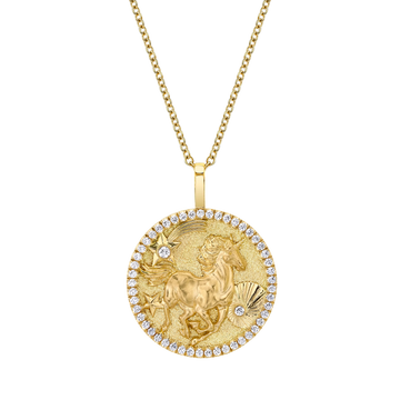 Lucky Unicorn Talisman Pdnt 20"