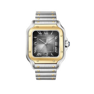 Cartier Santos de Cartier Watch W2SA0030 thumbnail