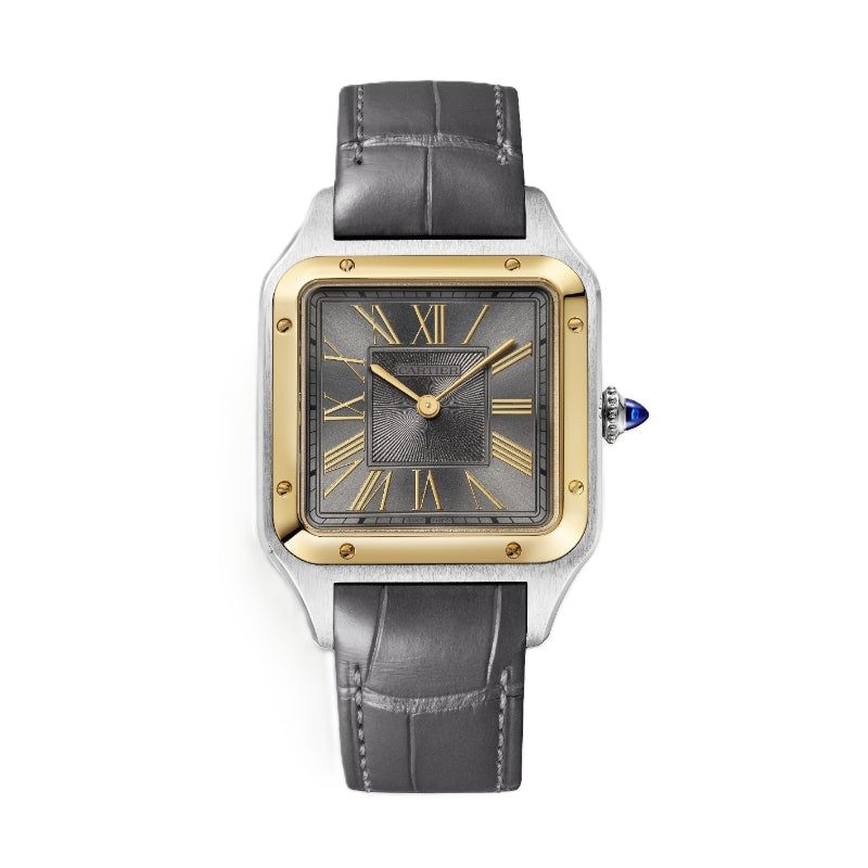 Cartier Santos de Cartier Watch W2SA0036