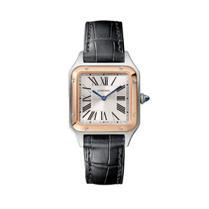 Cartier Santos de Cartier Watch W2SA0038
