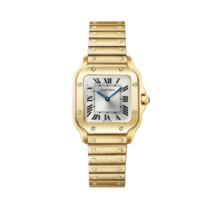 Cartier Santos de Cartier Watch WGSA0107