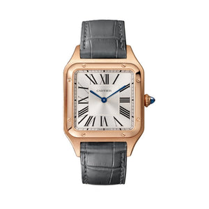 Cartier Santos de Cartier Watch WGSA0116