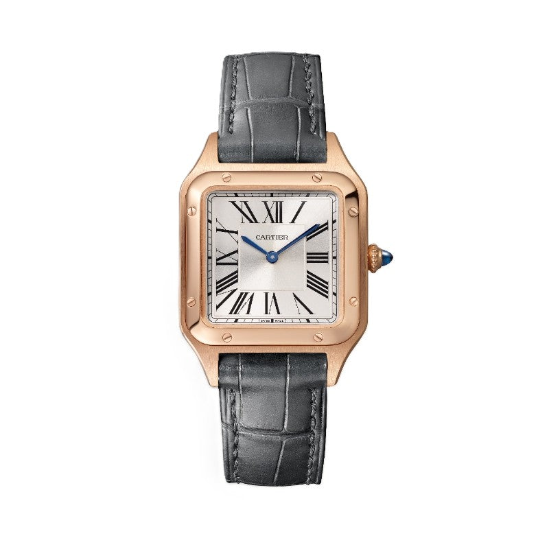 Cartier Santos de Cartier Watch WGSA0117