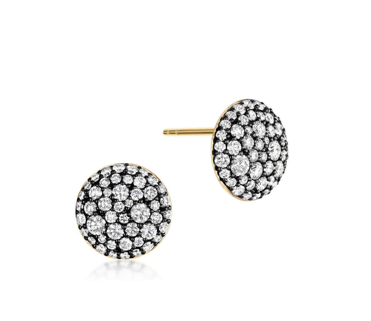 Phillips House Prima 11mm Stud Earrings
