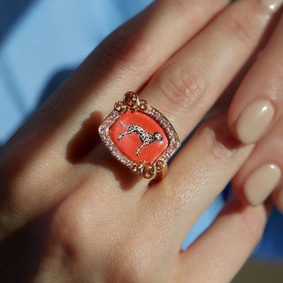 Being Furry Pink - Anita Ring thumbnail