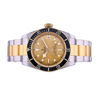 Tudor Black Bay S&G thumbnail