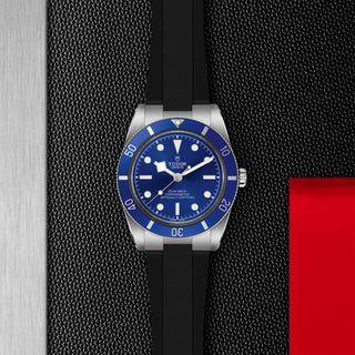 Black Bay 54 - M79000B-0002 thumbnail