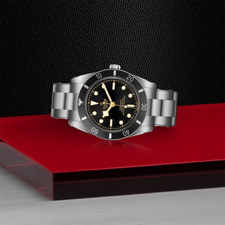 Tudor Black Bay 54 - 37mm steel case, Steel bracelet - M79000N-0001 thumbnail