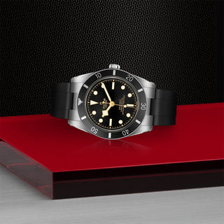 Tudor Black Bay 54 - 37mm steel case, Black rubber strap - M79000N-0002 thumbnail