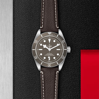 Tudor Black Bay 58 925 - 39mm silver case, Brown leather bracelet - M79010SG-0001 thumbnail
