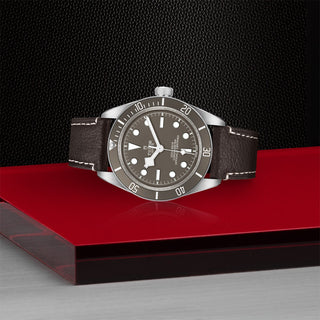Tudor Black Bay 58 925 - 39mm silver case, Brown leather bracelet - M79010SG-0001 thumbnail