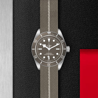 Tudor Black Bay 58 925 - 39mm silver case, Taupe fabric strap - M79010SG-0002 thumbnail