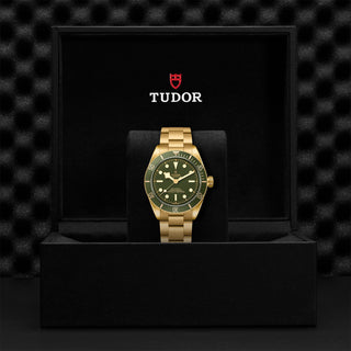 Tudor Black Bay 58 18K - 39mm yellow gold case, Yellow gold bracelet - M79018V-0006 thumbnail