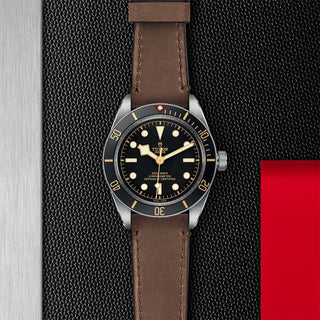 Tudor Black Bay 58 - 39mm steel case, Brown leather strap - M79030N-0002 thumbnail