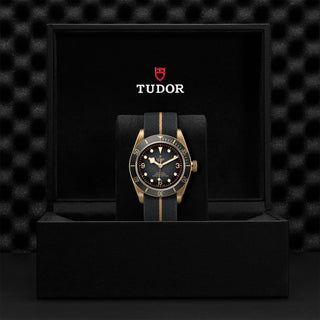 Tudor Black Bay Bronze - 43mm bronze case, Fabric strap - M79250BA-0002 thumbnail