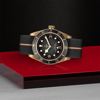 Tudor Black Bay Bronze - 43mm bronze case, Fabric strap - M79250BA-0002 thumbnail