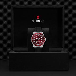 Tudor Black Bay 58 - 39mm steel case, Burgundy dial - M7939A1A0RU-0003 thumbnail