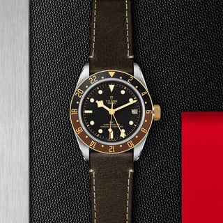 Tudor Black Bay GMT S&G - 41mm steel case, Brown leather strap - M79833MN-0003 thumbnail