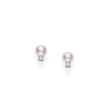 Basic Akoya Pearl Earrings Mikimoto
