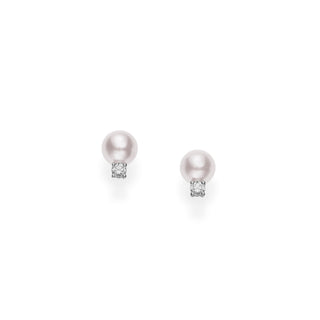 Basic Akoya Pearl Earrings thumbnail