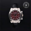 Oyster Perpetual Cosmograph Daytona
