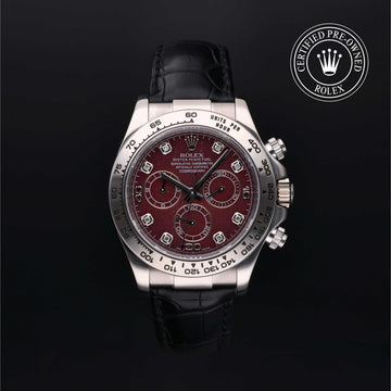 Oyster Perpetual Cosmograph Daytona