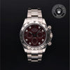 Oyster Perpetual Cosmograph Daytona