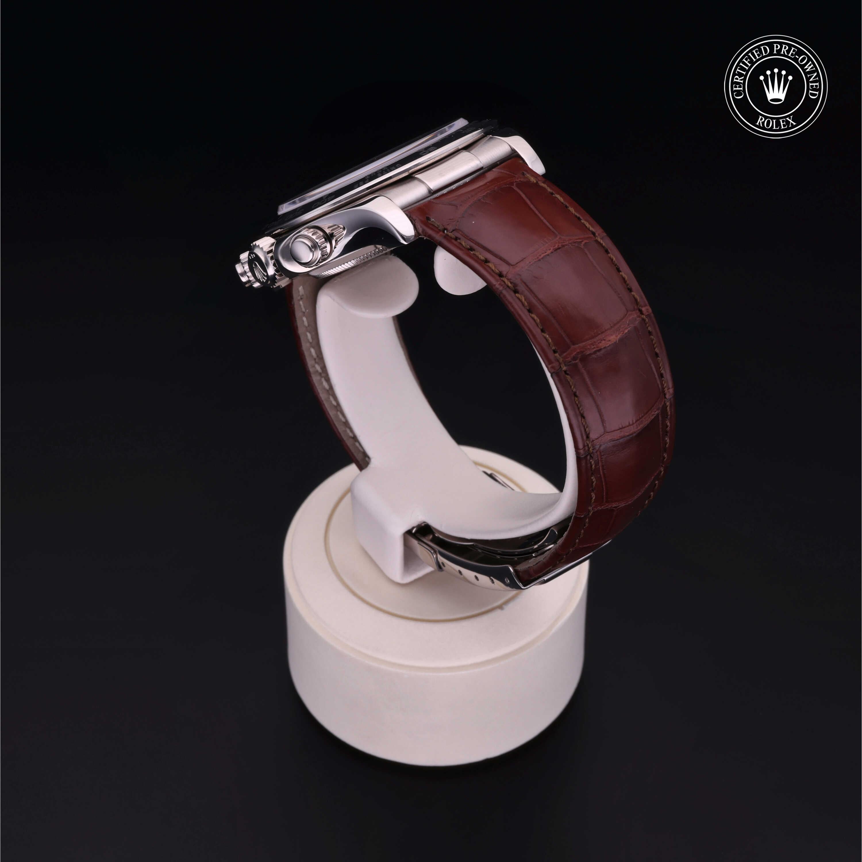 Oyster Perpetual Cosmograph Daytona