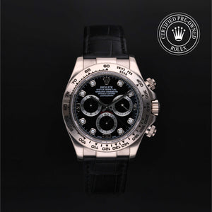 Oyster Perpetual Cosmograph Daytona