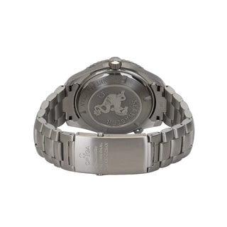 Omega Seamaster Planet Ocean thumbnail