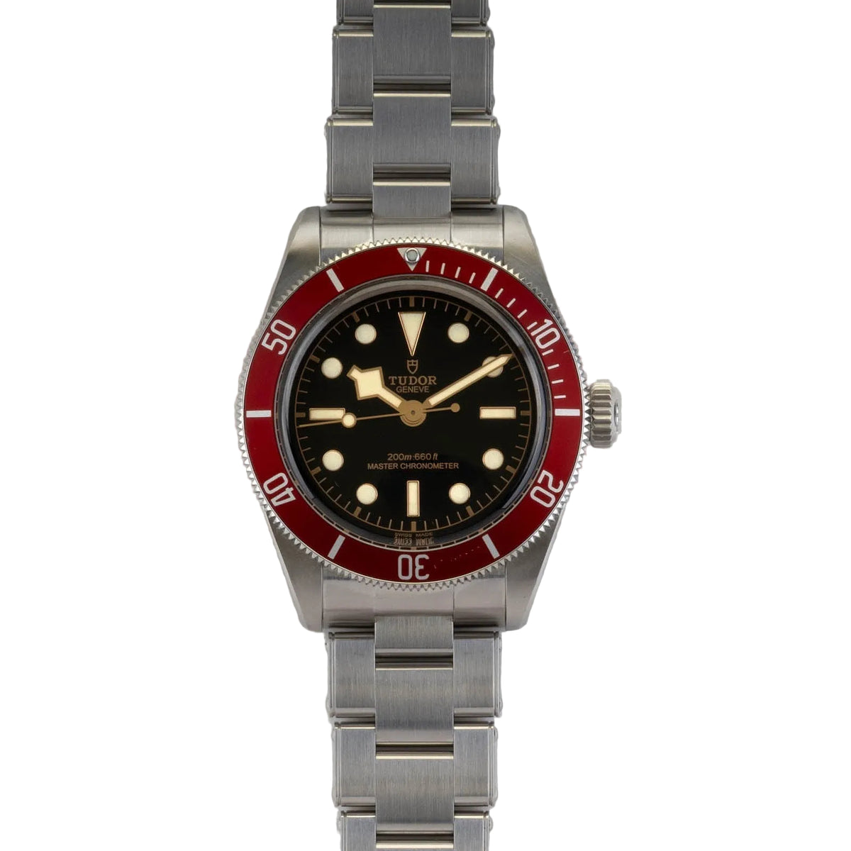 Tudor Black Bay