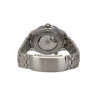 Omega Seamaster Diver 300M thumbnail