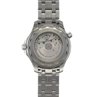 Omega Seamaster Diver 300M thumbnail