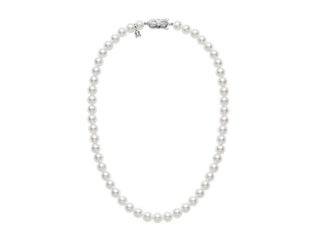 Basic Akoya Pearl Necklace thumbnail