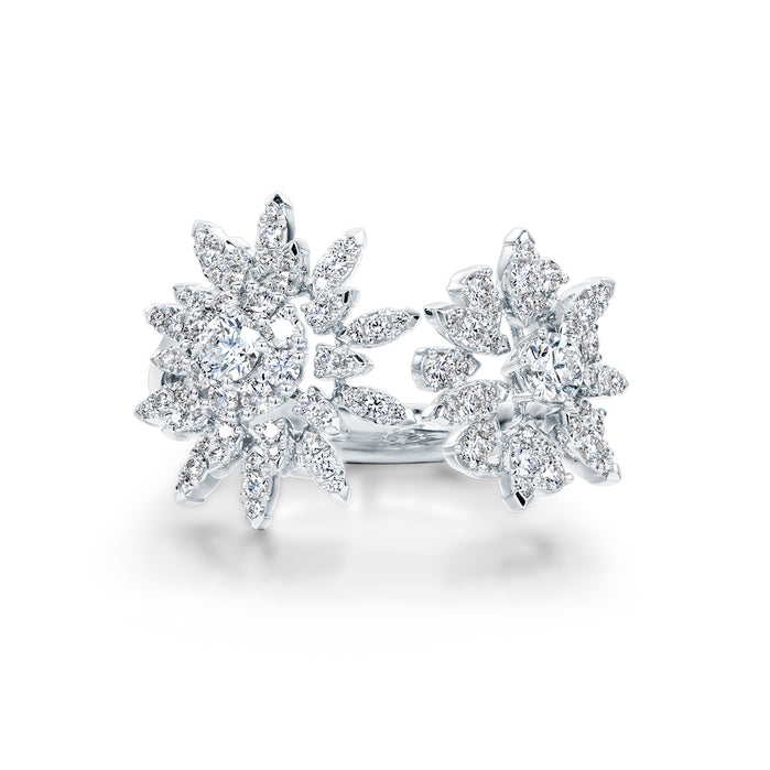 Aerial Double Sunburst Ring