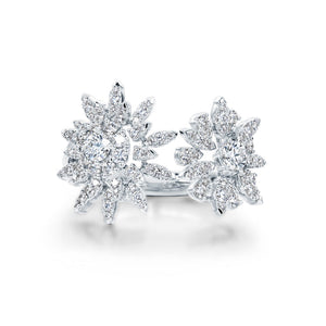 Aerial Double Sunburst Ring