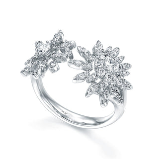 Aerial Double Sunburst Ring thumbnail