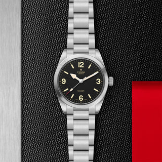 Tudor Ranger - M79930-0001 thumbnail
