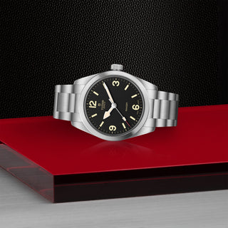 Tudor Ranger - M79930-0001 thumbnail