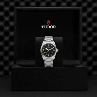 Tudor Ranger - M79930-0001 thumbnail