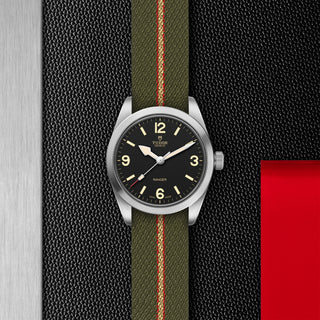 Tudor Ranger - M79930-0003 thumbnail
