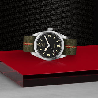 Tudor Ranger - M79930-0003 thumbnail