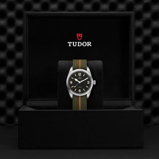 Tudor Ranger - M79930-0003 thumbnail