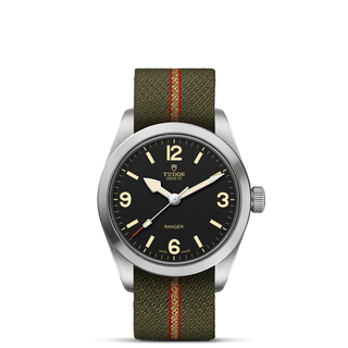 Tudor Ranger - M79930-0003 thumbnail