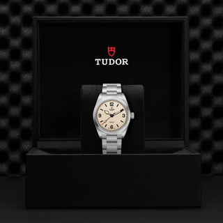 Tudor Ranger - M79930-0007 thumbnail