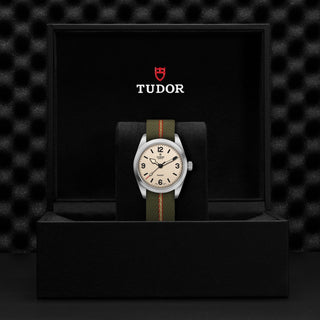 Tudor Ranger - M79930-0008 thumbnail