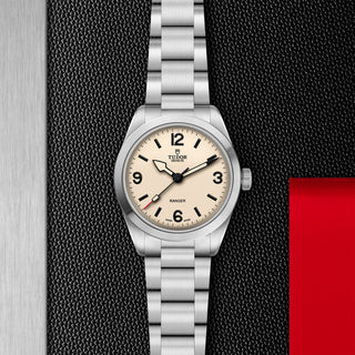 Tudor Ranger - M79950-0008 thumbnail