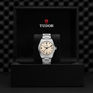Tudor Ranger - M79950-0008 thumbnail
