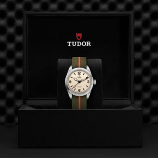 Tudor Ranger - M79950-0011 thumbnail